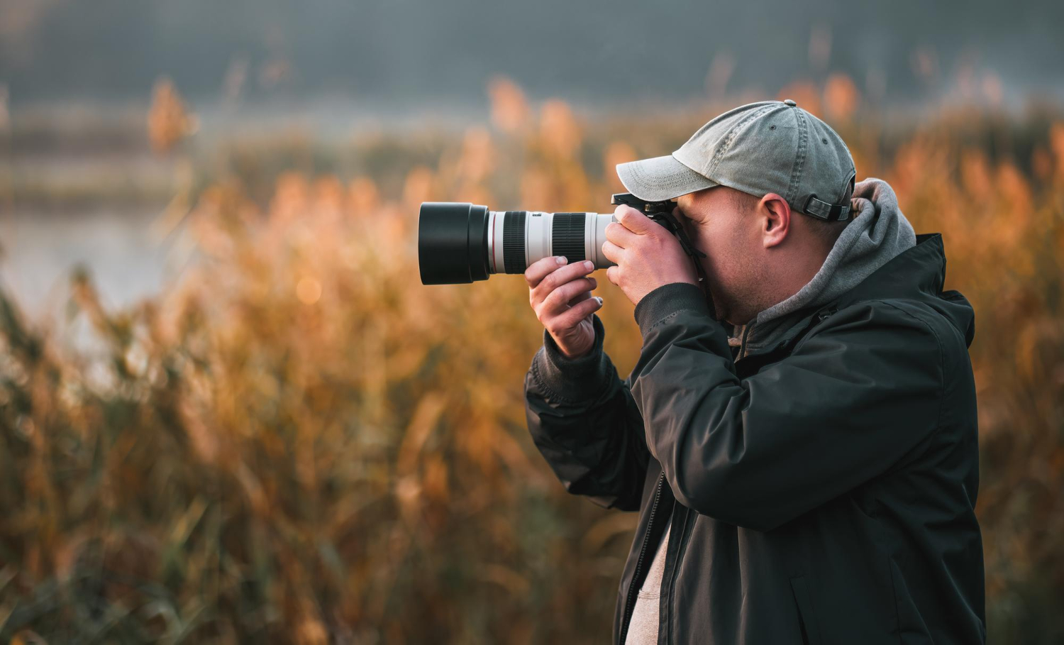 Wildlife Photography